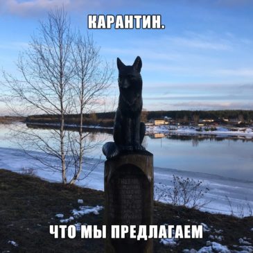 Карантин. Что мы предлагаем?